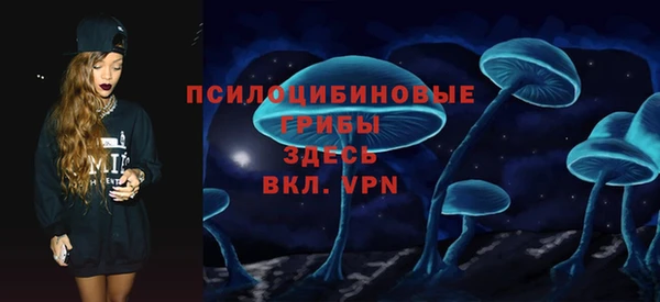 сатива Михайловка