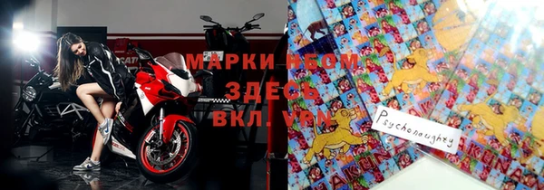 сатива Михайловка