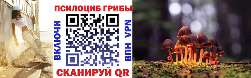 Псилоцибиновые грибы Magic Shrooms  KRAKEN ссылки  Кондрово  купить наркотик 